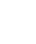Maior valor econômico