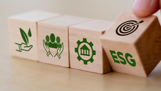 Diagnóstico ESG