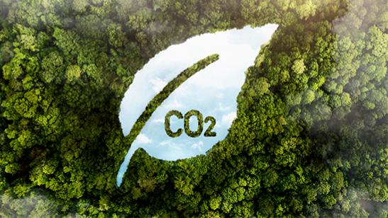Inventário de Emissões de Gases do Efeito Estufa (GEE)